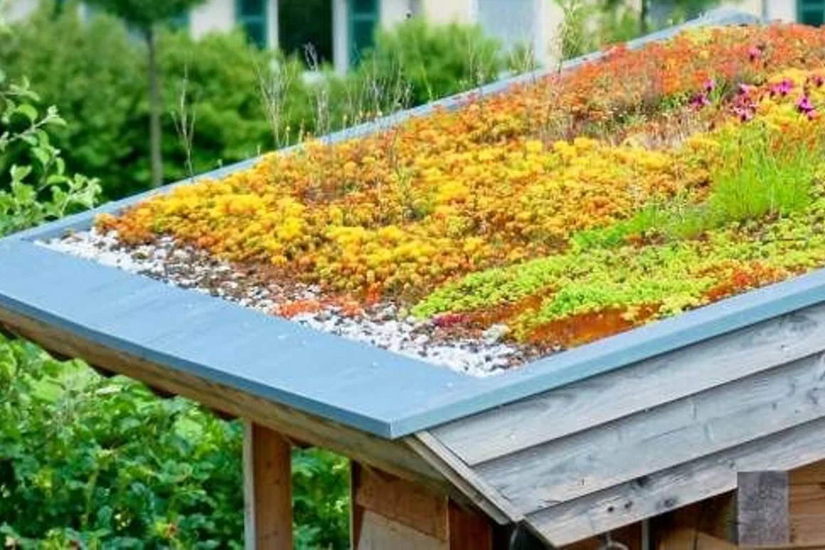 Begrüntes Gartenhausdach